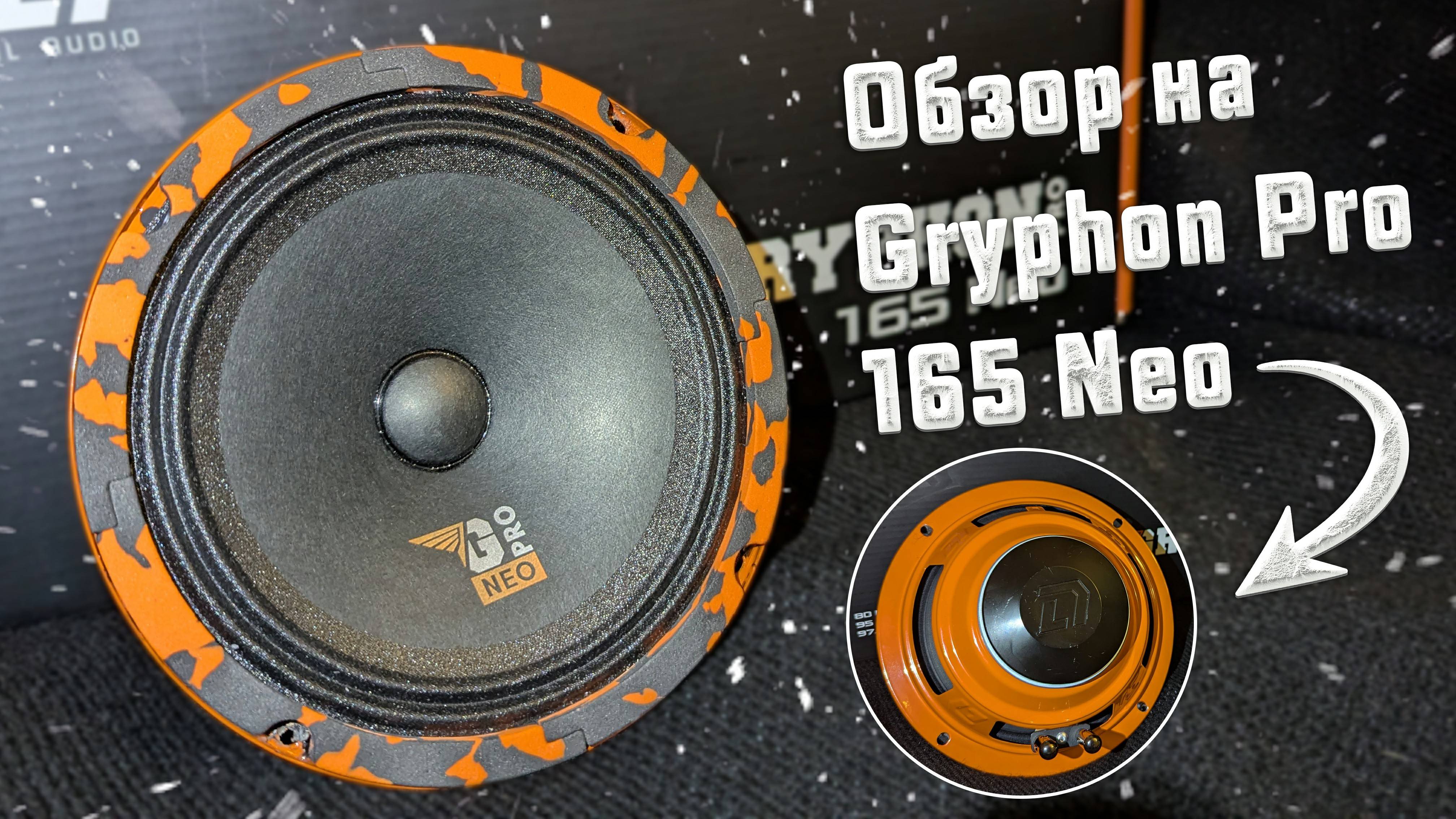 Обзор динамиков DL Audio Gryphon PRO 165 NEO