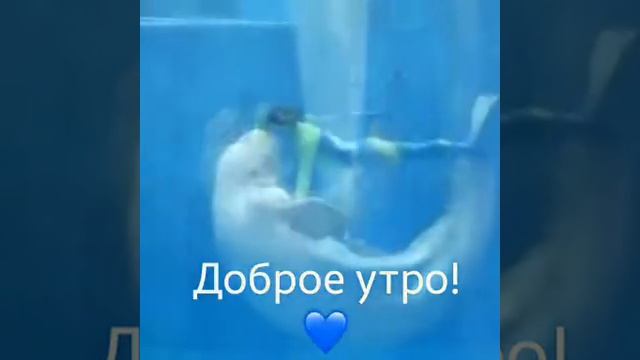 С добрым утром😘😘😘😘