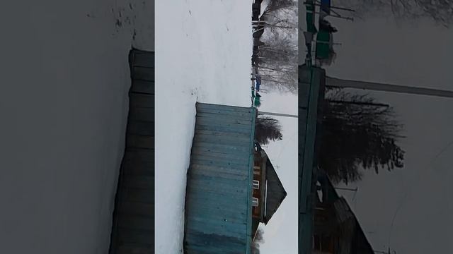 Обзор территории моего дома