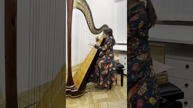 Видео для конкурса "Новосибирская весна"