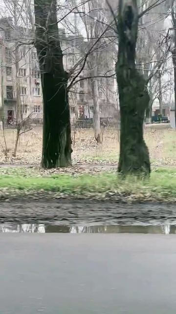 Беги, Микола, беги !!!