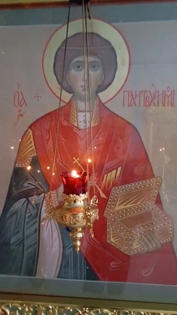 за здравие  леонида слуцкого лидера партии лдпр