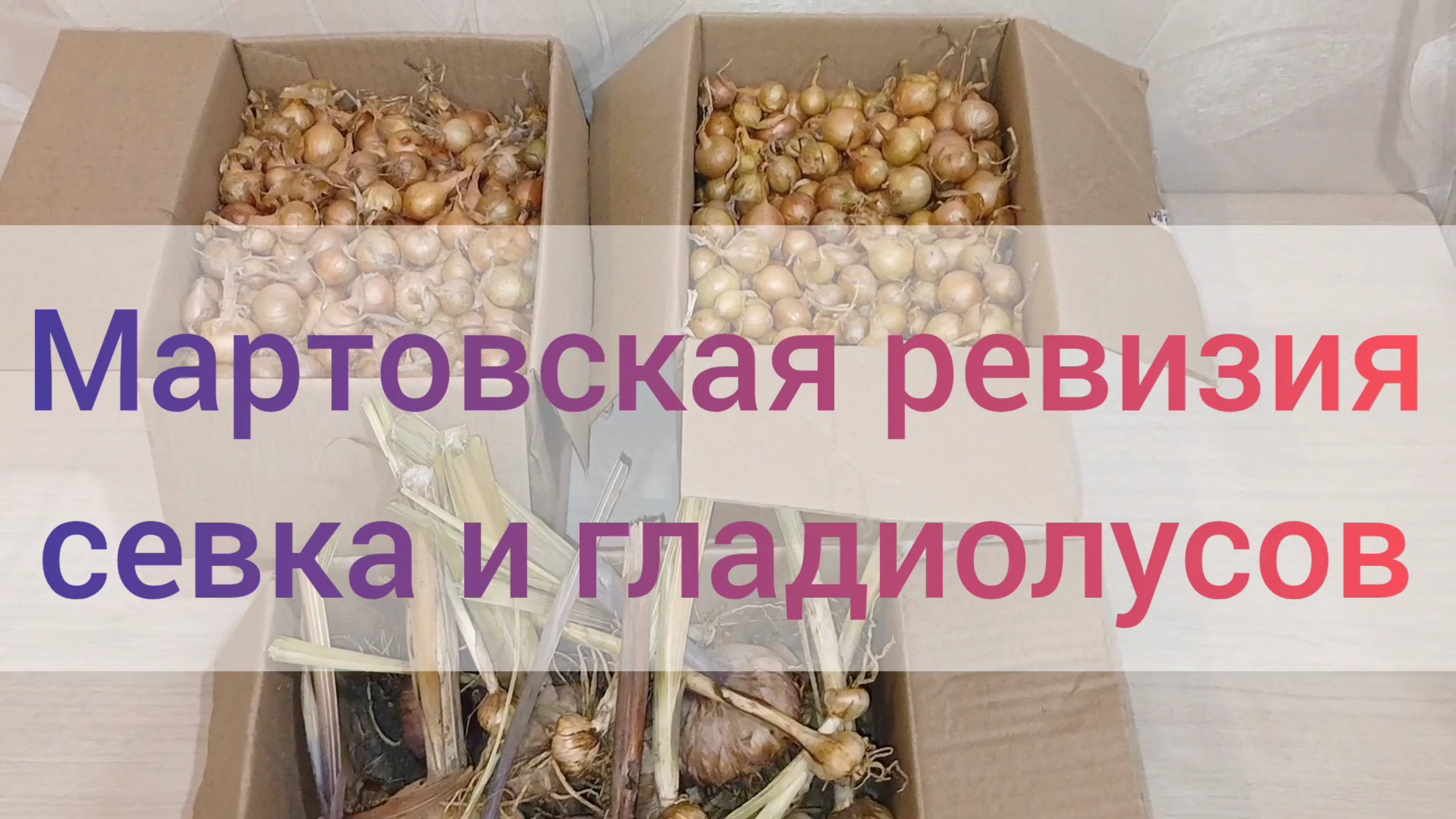 Экономлю на севке - покупаю осенью и храню до весны.