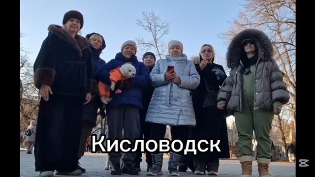 Граждане России против эвтаназии уличных собак ❌ Председатель Госдумы Володин призвал срочно внести