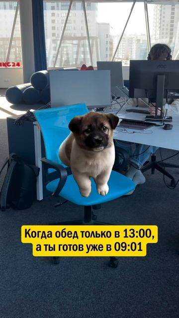 👉 ПОДПИШИСЬ - у нас весело 😁
