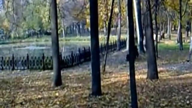 Осень в парке Степанова