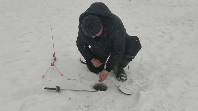 Поимки форели!!!