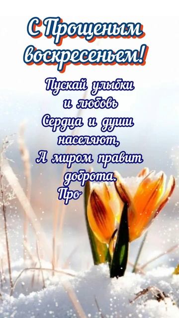 С праздником!#прощеноевоскресенье#праздник#shorts