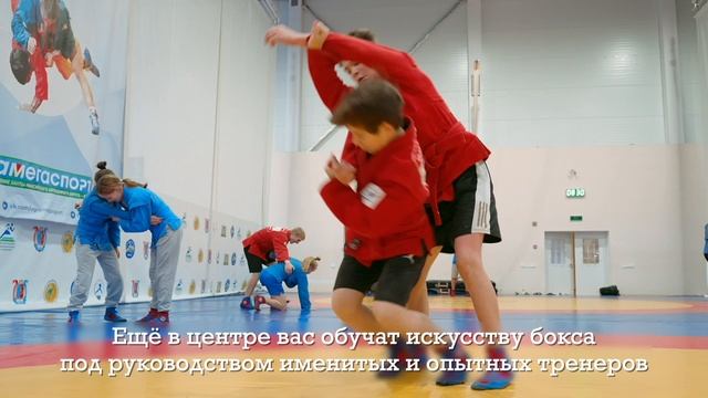 Региональный центр единоборств
