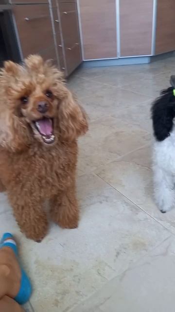 Вот так погуляли...