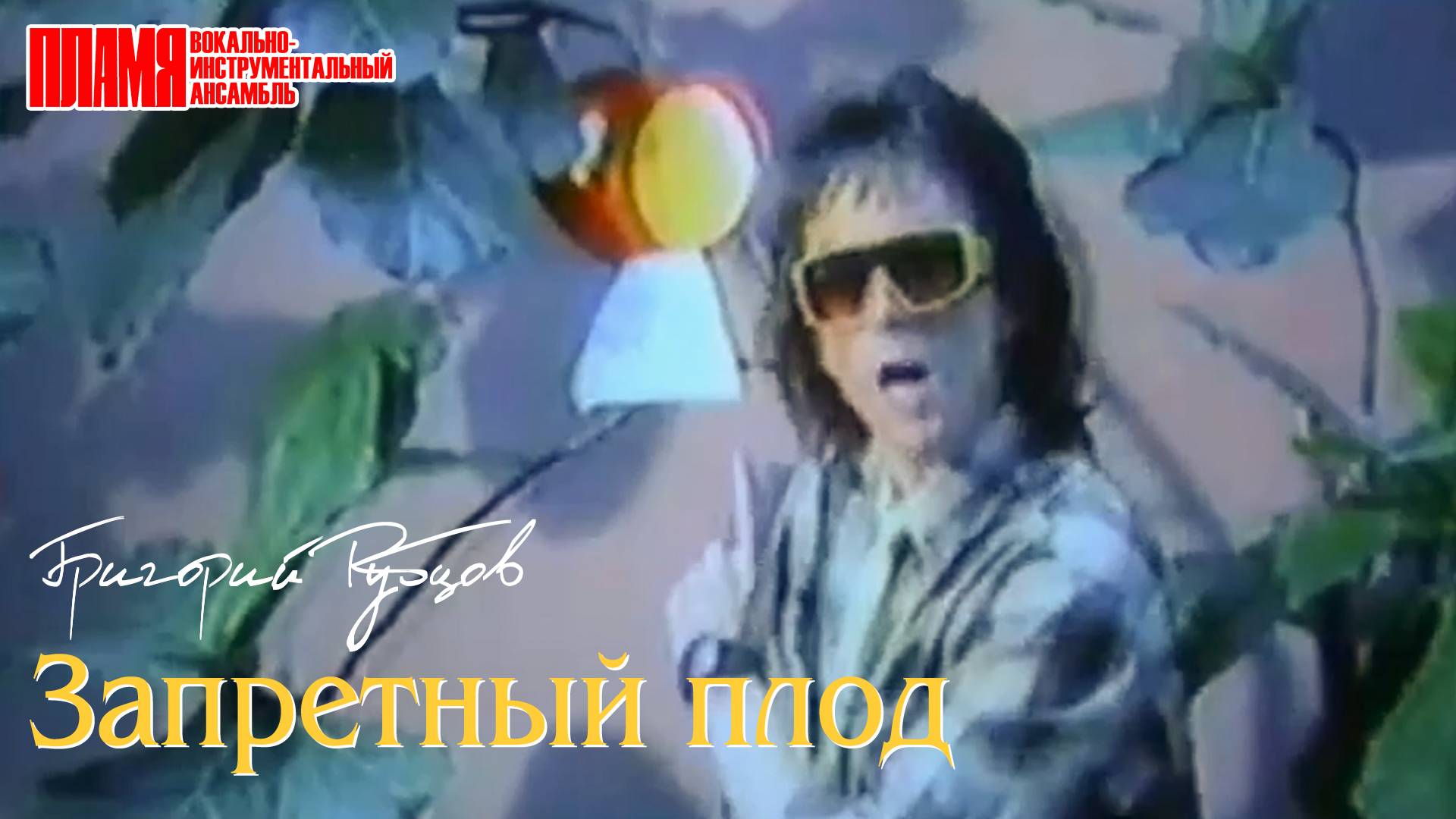 ВИА "ПЛАМЯ" - ЗАПРЕТНЫЙ ПЛОД | Солист Григорий Рубцов (1988)