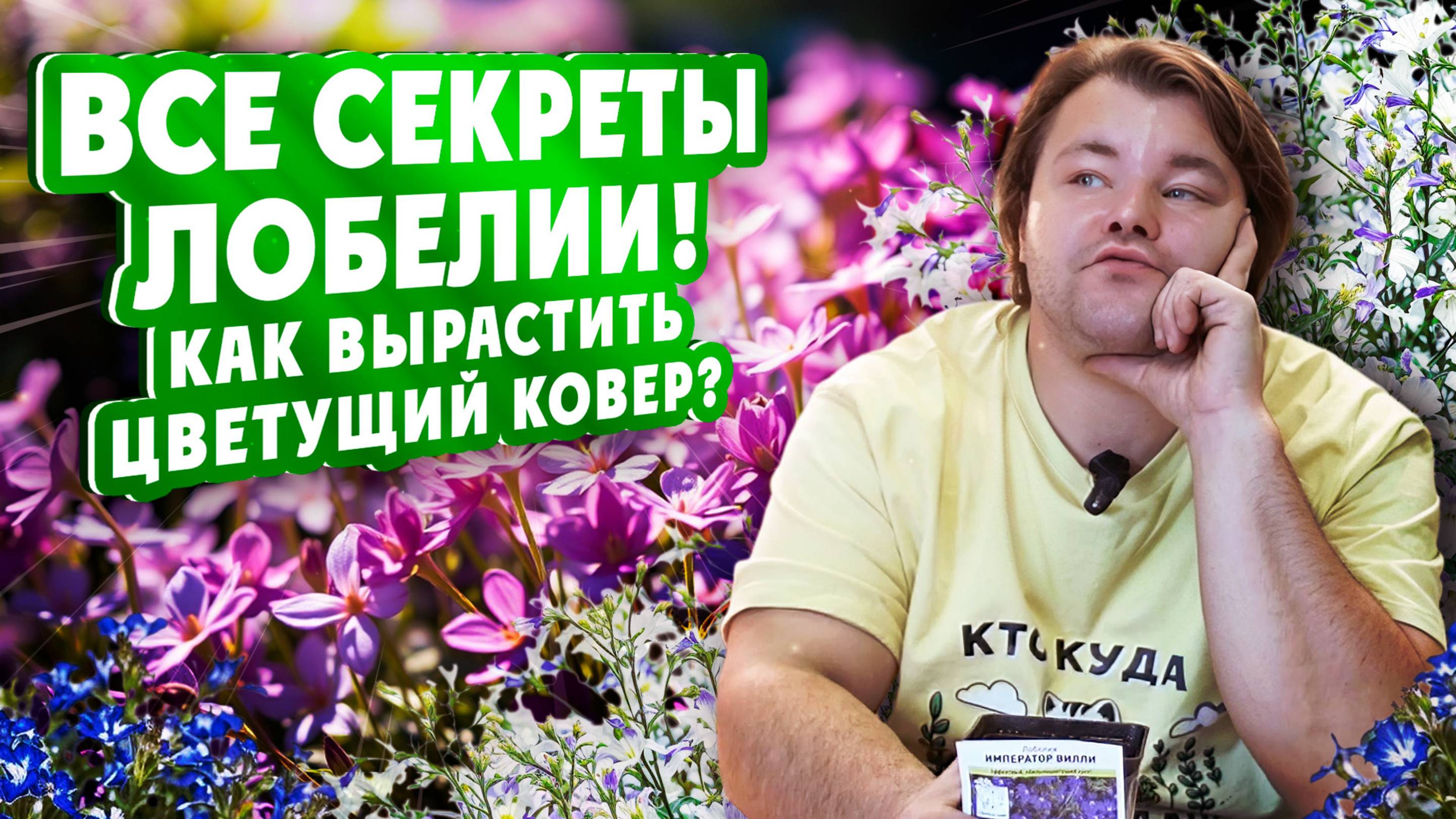 ВСЕ СЕКРЕТЫ ЛОБЕЛИИ! Как вырастить цветущий ковёр?