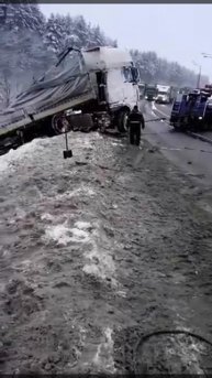 Новгородская область д. Ижицы 05.11.17
