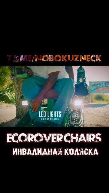 EcoRover Chairs инвалидная коляска #shorts