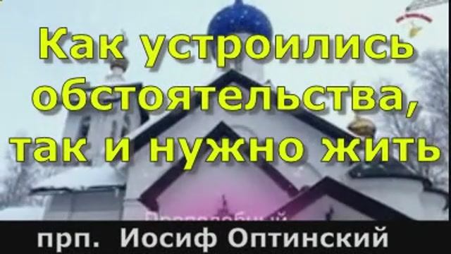 Как устроились обстоятельства так и нужно жить