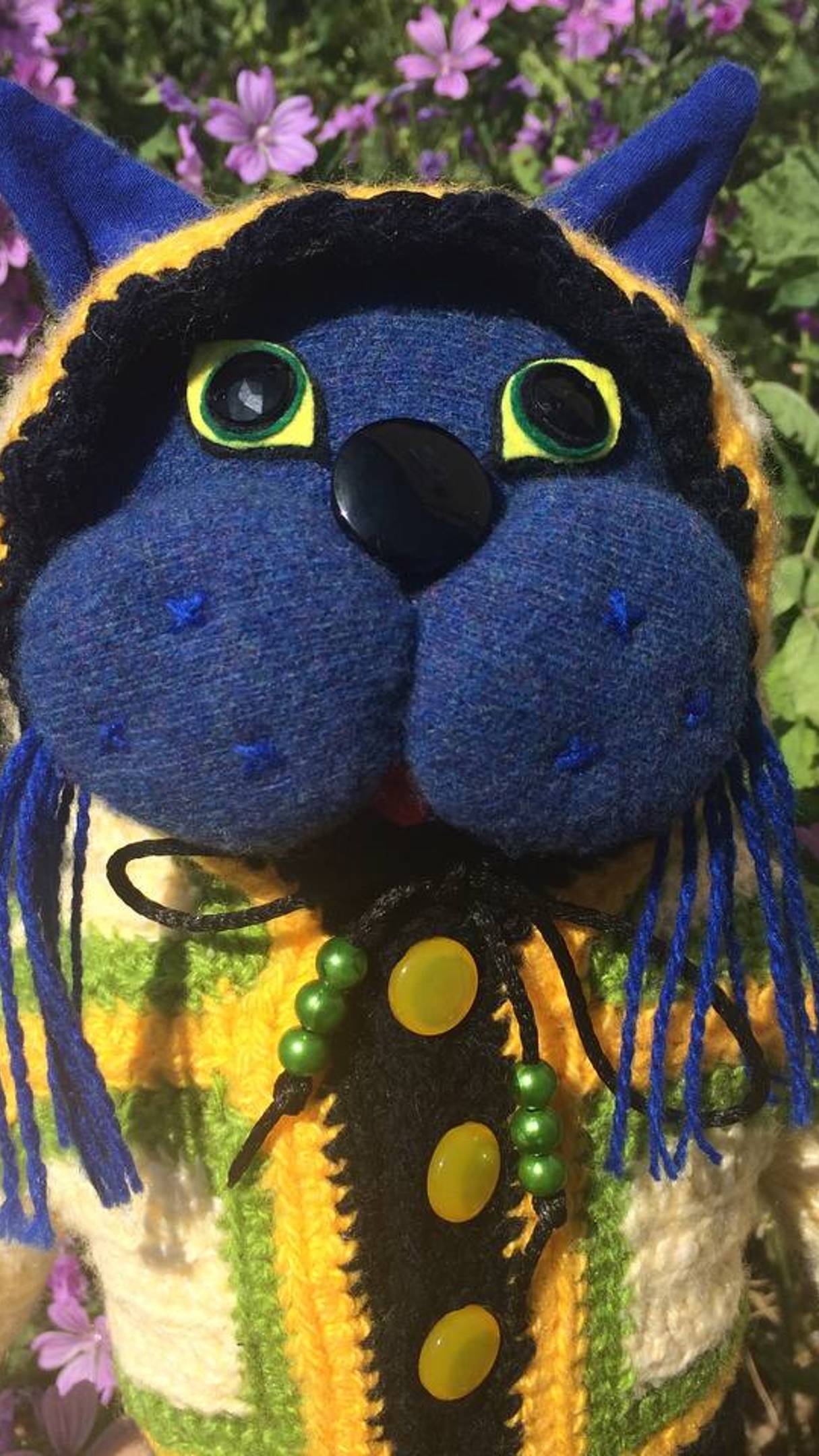 Кот Томас