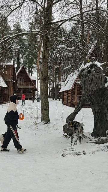 2.03.25 Берендеевка. Кострома.