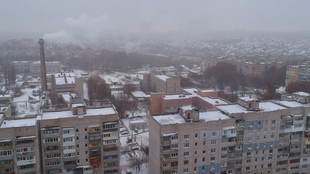 Зимний Тополь)