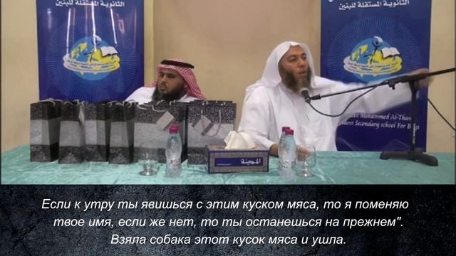 Будь_львом,_а_не_собакой!_｜_Шейх_Хейсам_Сархан