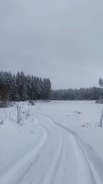 ❄️Зимний кемпинг с братом: выживаем или замерзаем?