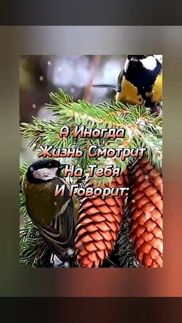 Что-то не так