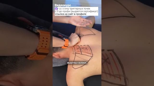 1000066724.mp4