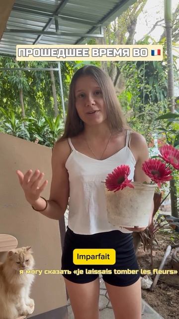 🇫🇷☝️ кратко о разнице в использовании прошедших имен во французском языке 📑🎧