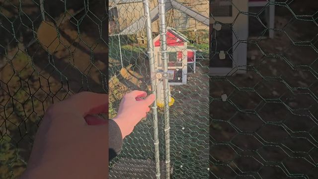 1000012561.mp4
