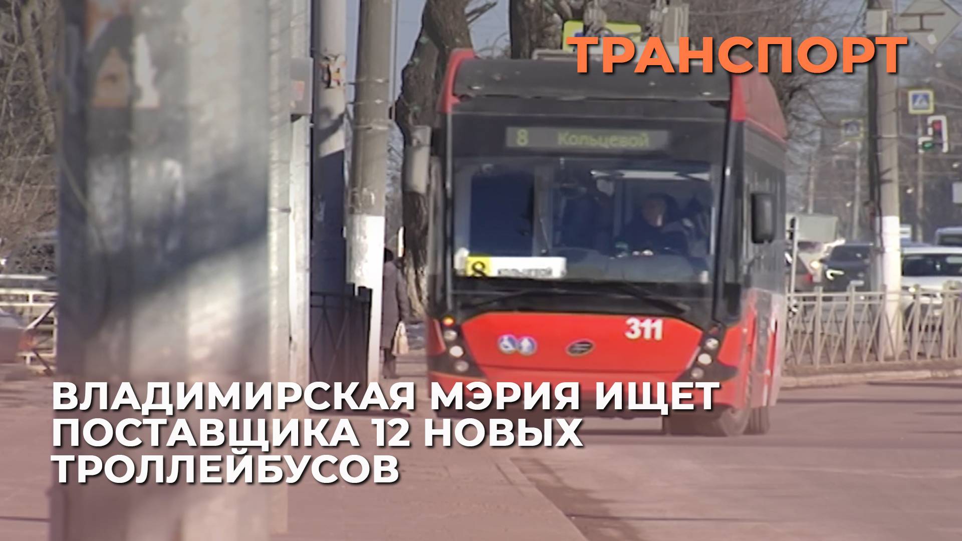 Владимирская мэрия ищет поставщика 12 новых троллейбусов