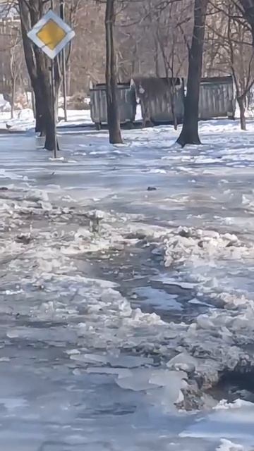 ЗАСТРЯВШИЕ ВО ЛЬДАХ: в Шахтах в микрорайоне Горняк автомобили застревают на ледяных дорогах.
