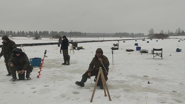 Запуск форели в акваторию 75 кг !!!