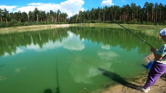 Ротан голодный в озере - только тащи