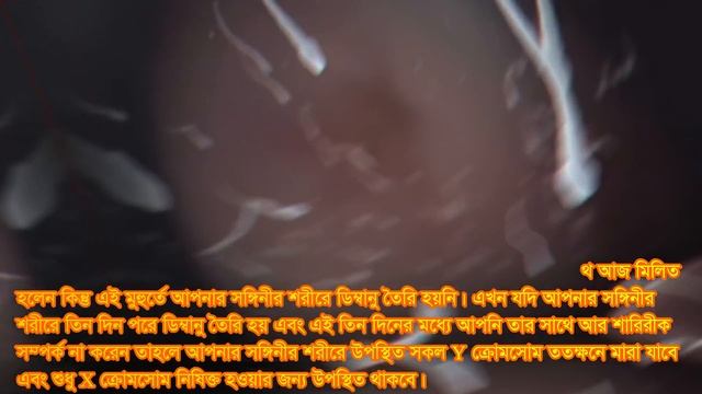 মাসিকের কত দিন পর সহবাস করলে ছেলে সন্তান হয়। ছেলে সন্তান হবেই শুধু ১টি কাজ করলেই। দেখুন