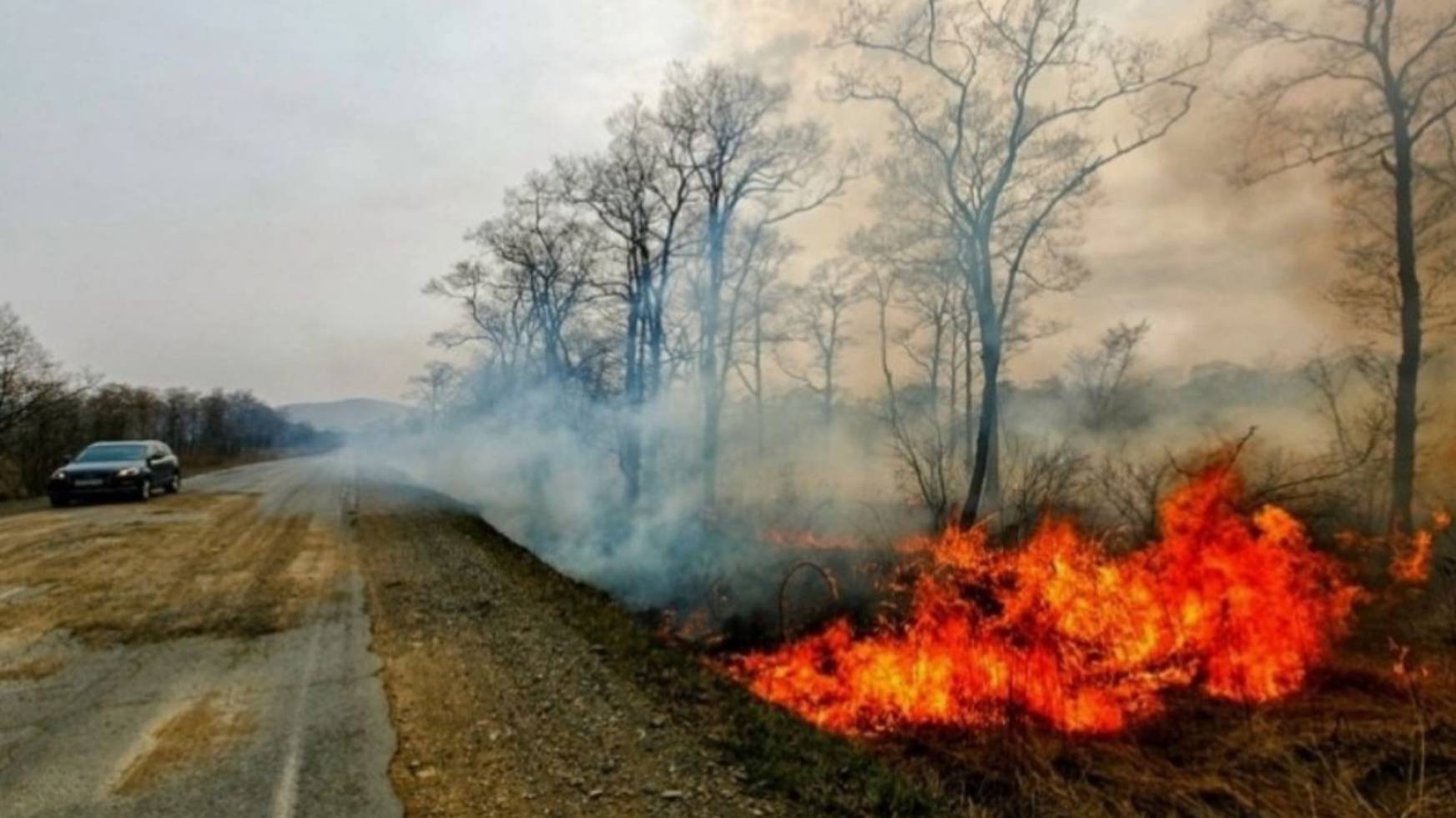 Больше 500 гектаров охвачено огнем, пламя подбирается к населенным пунктам. Пожары бушуют в Приморье