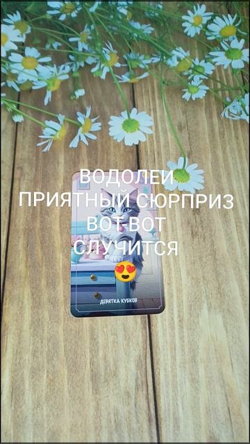 #ВОДОЛЕИ ПРИЯТНЫЙ СЮРПРИЗ ВОТ-ВОТ СЛУЧИТСЯ НА ПОРОГЕ❤️😍🥰#ГаданиеНаБудущее #ТароГадание
