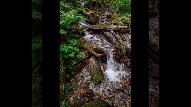 О Иисус, достоин Ты
Славы, чести на земле