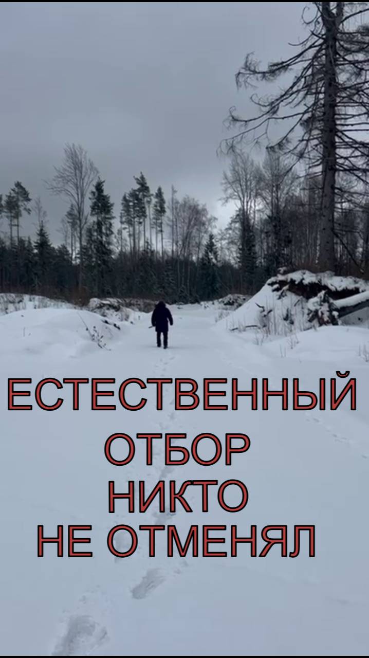 Естественный отбор никто не отменял