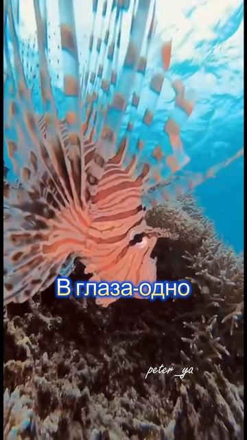 Время у нас сейчас такое