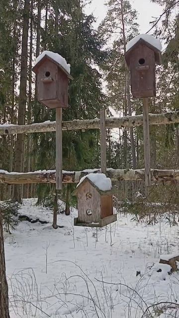 Скворечники для птиц