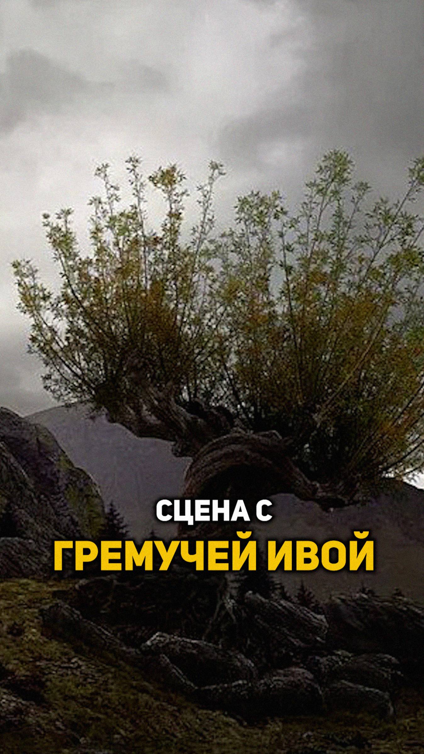 Битва с Гремучей Ивой #shorts #гаррипоттер