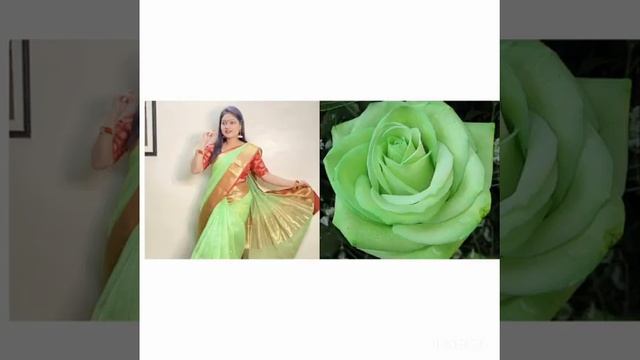 PRIYANKA NALKARI 🆚️ ROSE🌹🌹|| ROJA SONG 🎶🎶