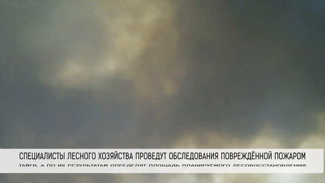 Пожароопасный сезон официально завершен