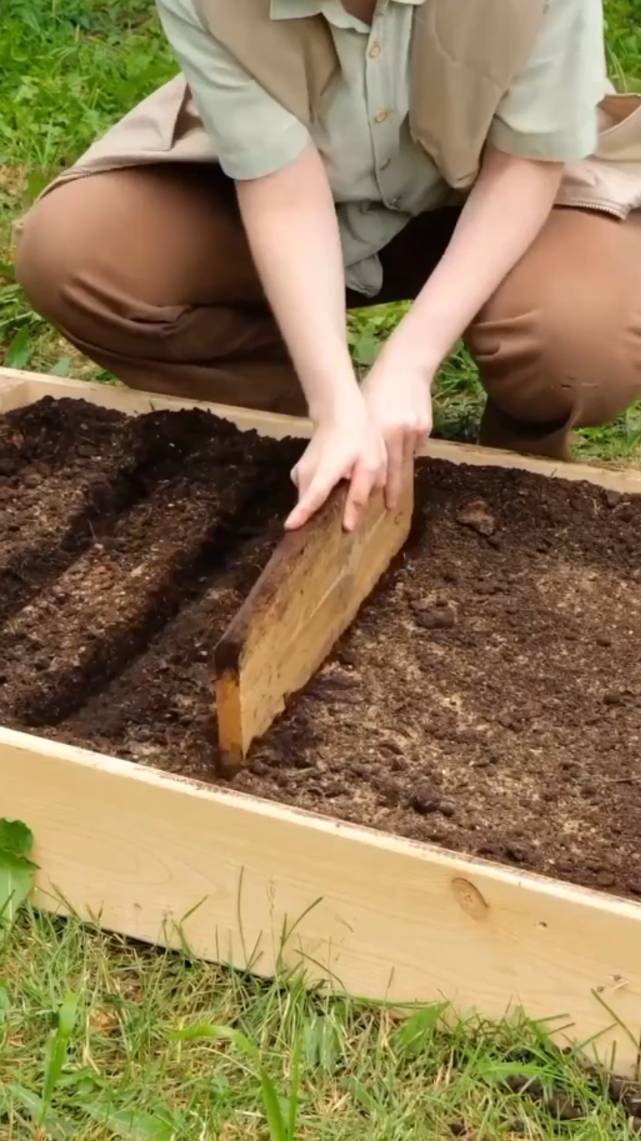 🌿Несколько удобных и быстрых способов посева семян! #shorts #garden #советы