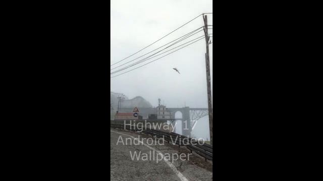 Half Life 2 Android Video Wallpapers