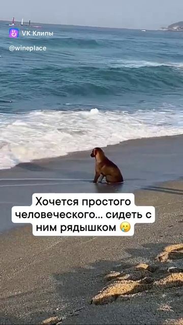 Научу зарабатывать в моем телеграмм канале 👉 https://clicktvf.com/ELUe #работаонлайн #работа