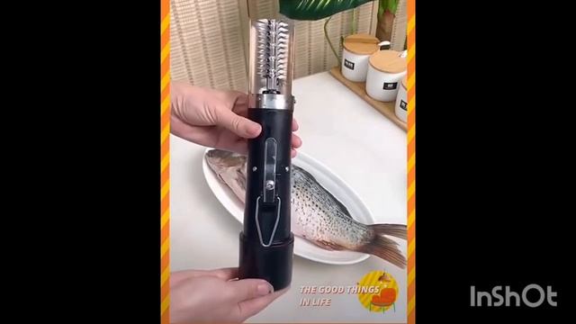1000062008.mp4