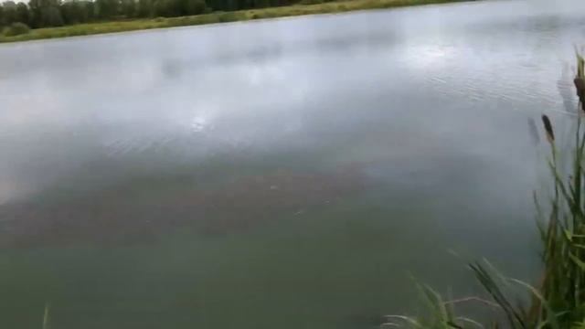 Где лучше ловить рыбу