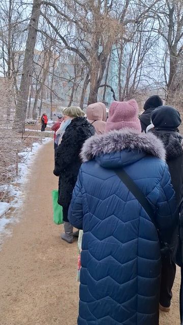 Огромная очередь😱Чтобы посмотреть тюльпаны.. в аптекарском саду😅