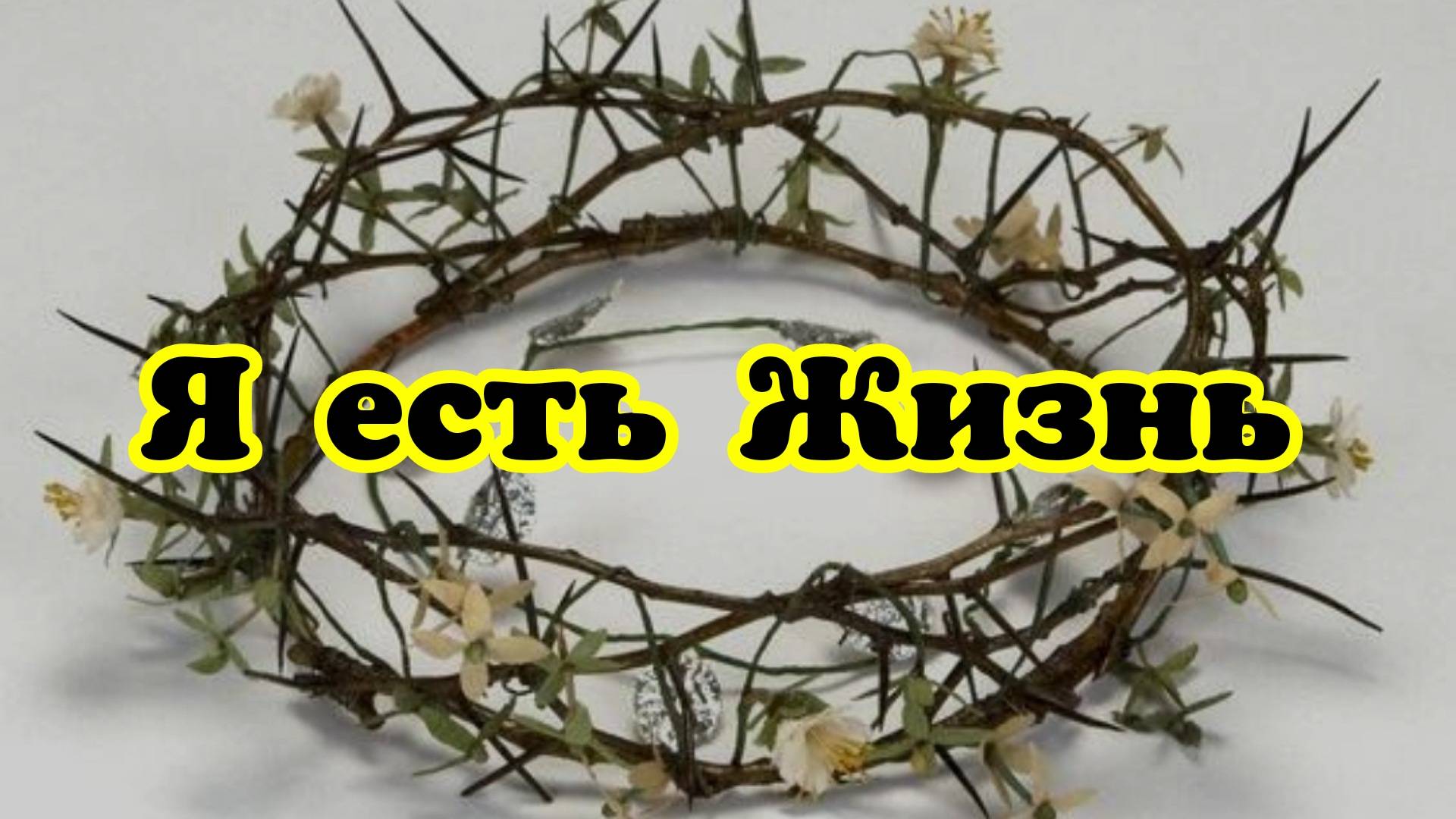 Я есть Жизнь. Молитвенные Действия. 03.03.25г.