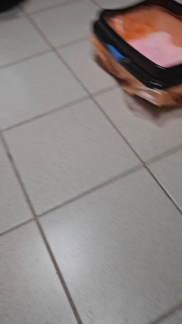 1000106702.mp4